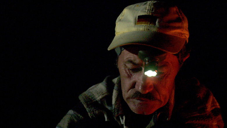 кадр из фильма Olanda