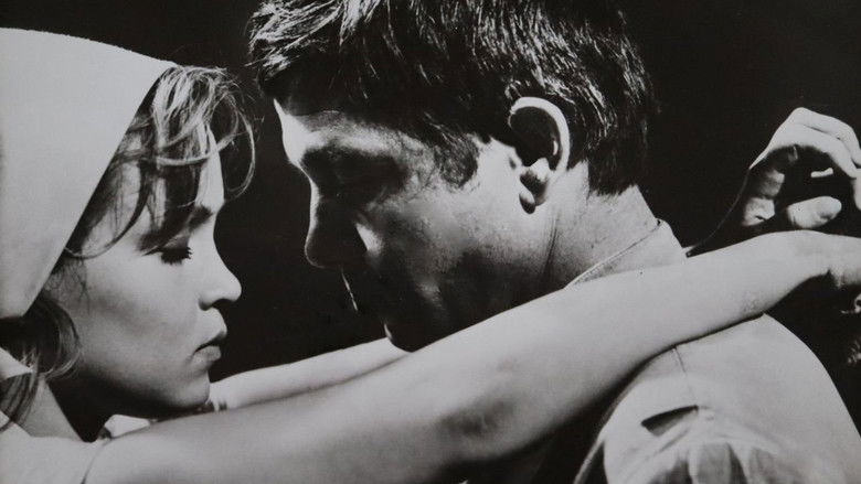 кадр из фильма Мужчины седеют рано