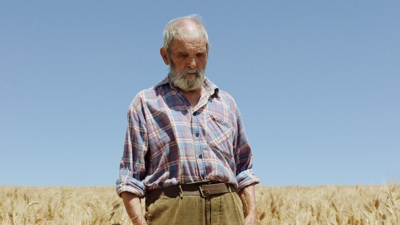 кадр из фильма Bentu