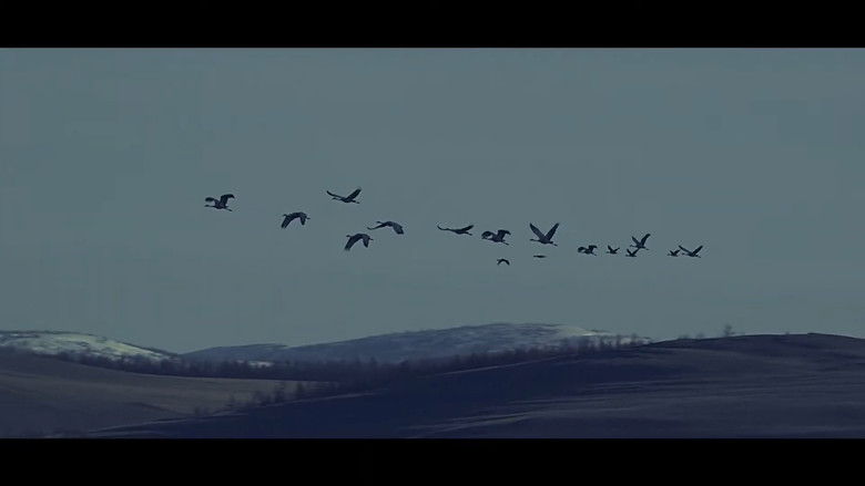 кадр из фильма Эх орон дуудаж байна