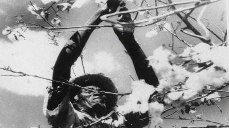 кадр из фильма O País de São Saruê