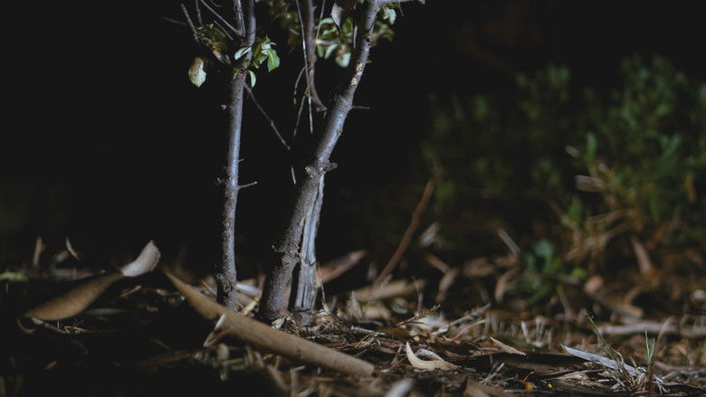 кадр из фильма Car Trouble