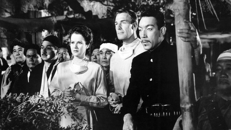 кадр из фильма China Sky