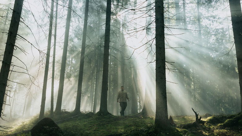 кадр из фильма Август