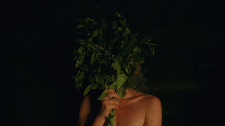 кадр из фильма Сестринство бани по-чёрному