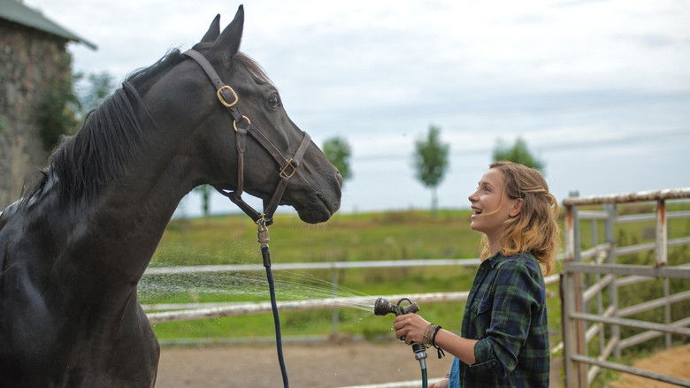 кадр из фильма Друг моего сердца