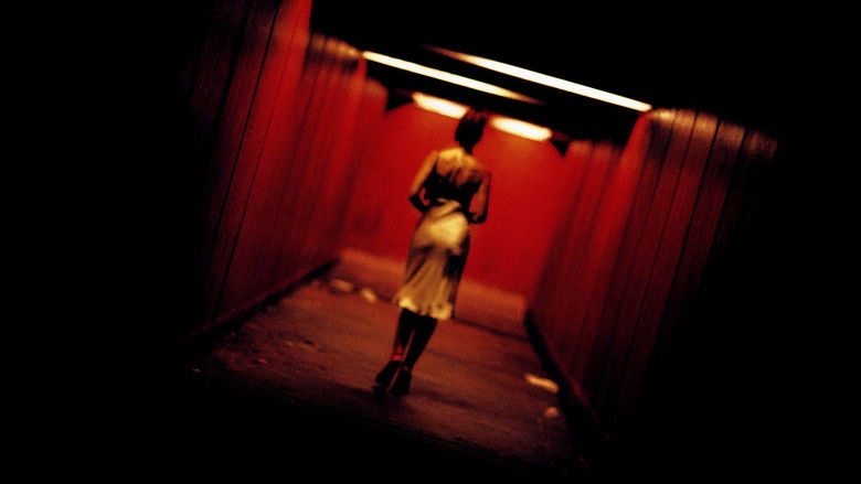 кадр из фильма Необратимость