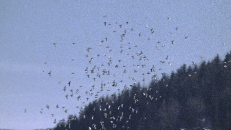 кадр из фильма Великий экстаз резчика по дереву Штайнера