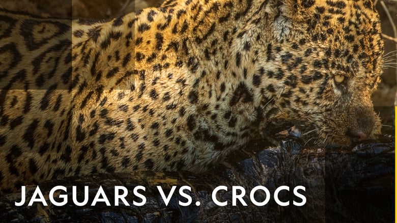 кадр из фильма Jaguars vs. Crocs
