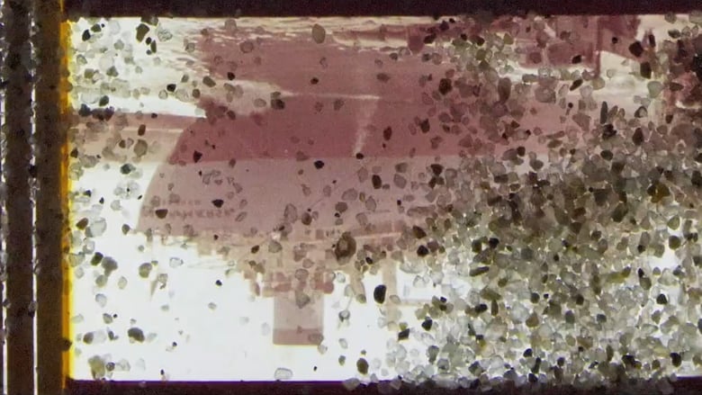 кадр из фильма Pink Beach Red Desert Dream Sand Film