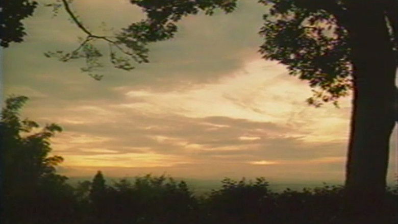 кадр из фильма 火垂