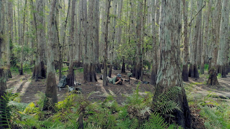 кадр из фильма Путь пантеры