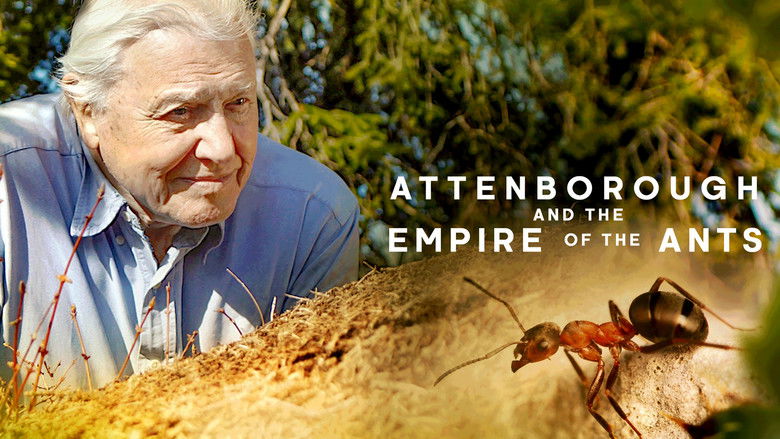 кадр из фильма Attenborough and the Empire of the Ants