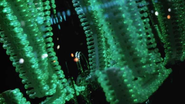 кадр из фильма Compline