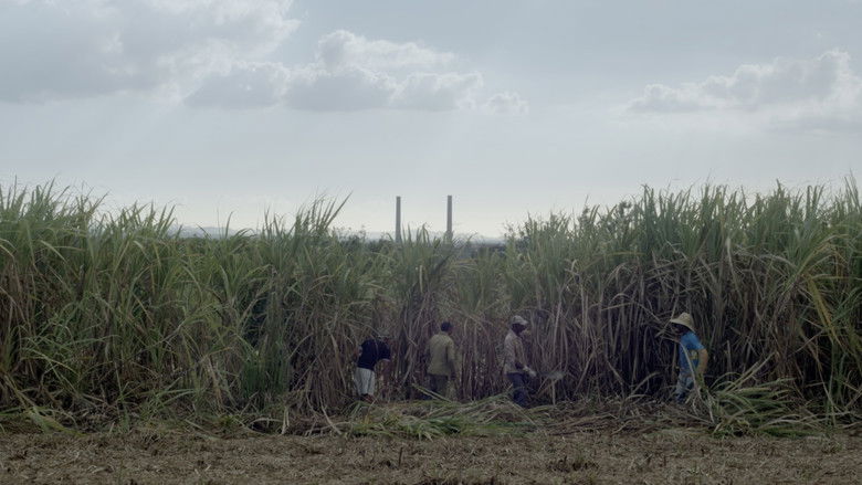 кадр из фильма Nan Ginen