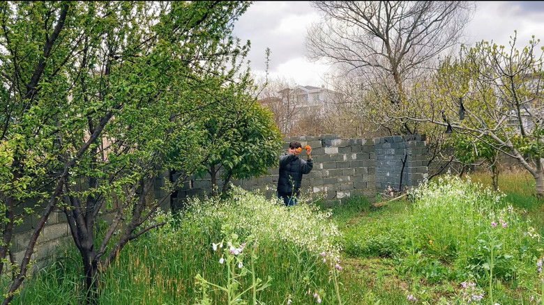 кадр из фильма گذار