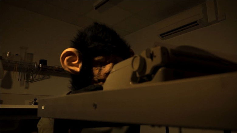 кадр из фильма The Infinite Monkey Theorem