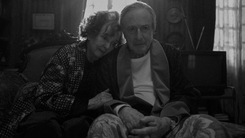 кадр из фильма Граф