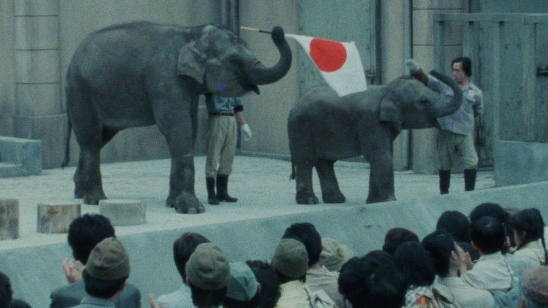 кадр из фильма 子象物語 地上に降りた天使