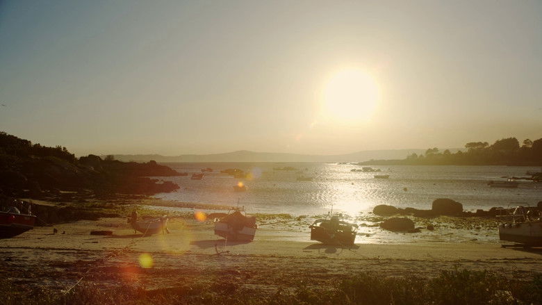 кадр из фильма Testemuñas dunha illa