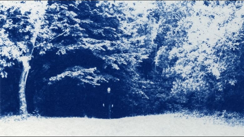 кадр из фильма 1/2=1