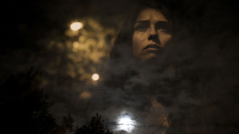 кадр из фильма Światło nocy