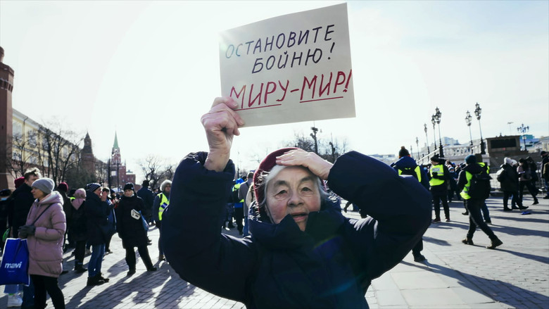 кадр из фильма О караване и собаках