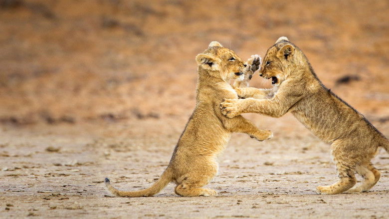 кадр из фильма Game of Lions