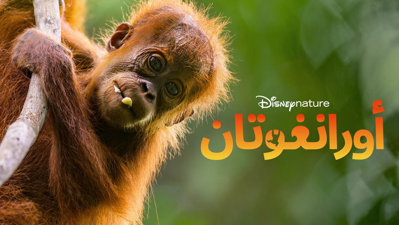 кадр из фильма Orangutan