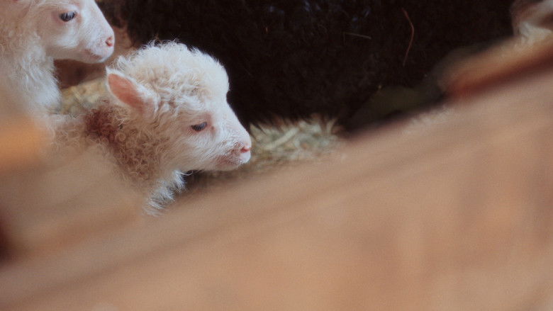 кадр из фильма Kopplam