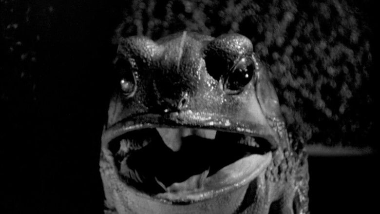 кадр из фильма Лабиринт