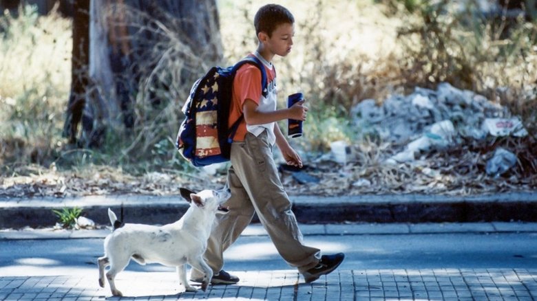 кадр из фильма La guerra di Mario