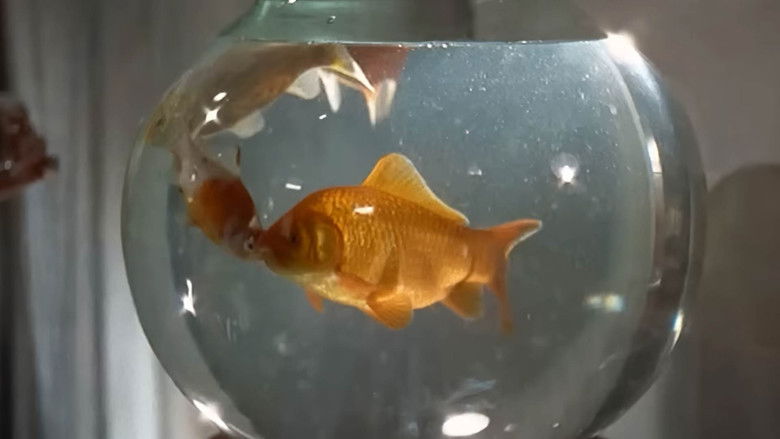 кадр из фильма Девушки в униформе