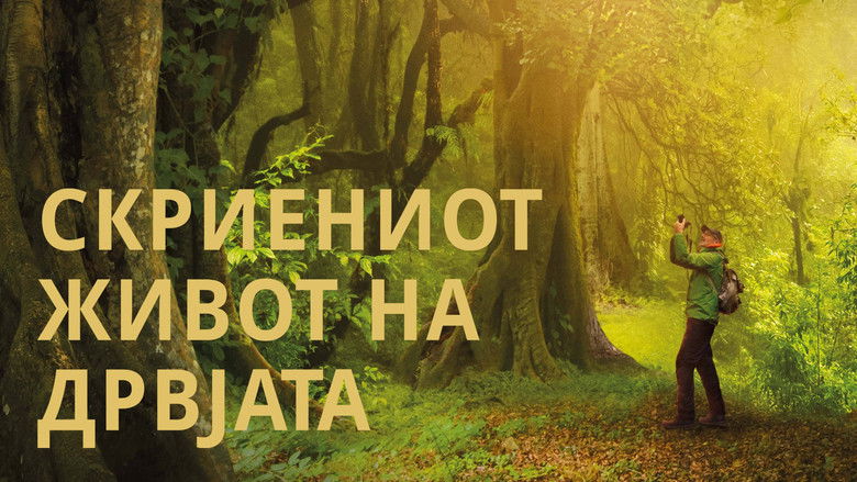 кадр из фильма Das geheime Leben der Bäume