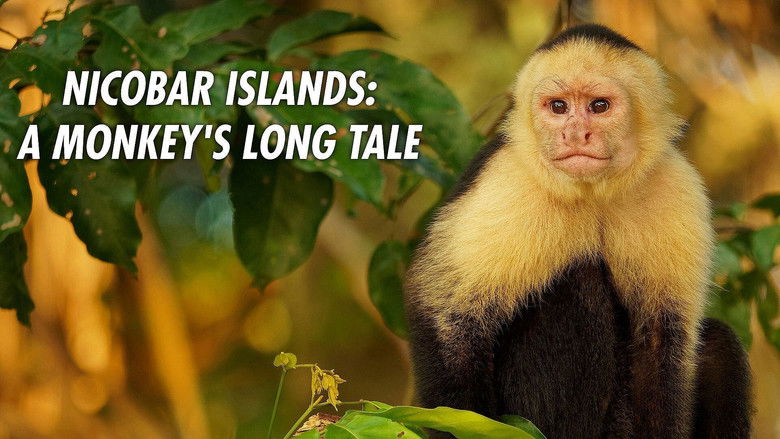 кадр из фильма Nicobar Islands: A Monkey's Long Tale