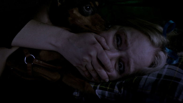 кадр из фильма Ночь гризли