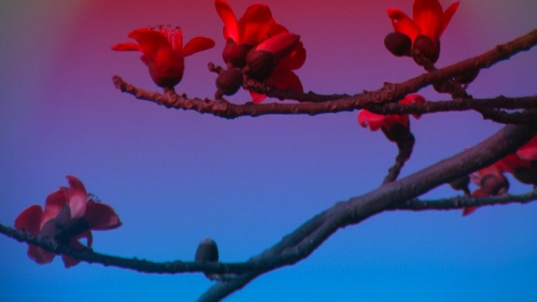 кадр из фильма Приворожённый