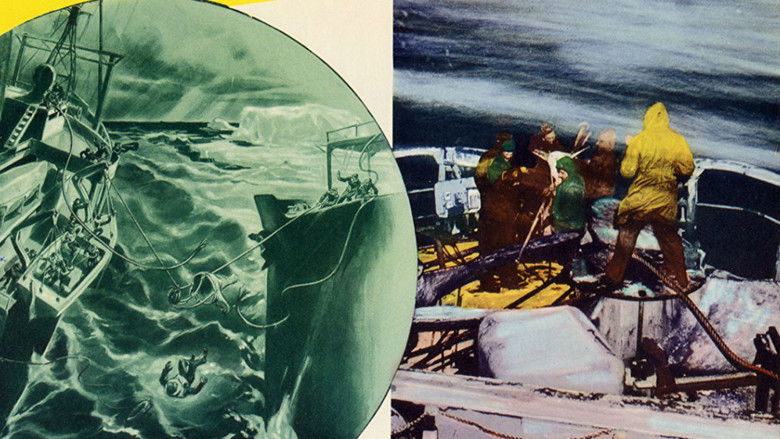 кадр из фильма The Secret Land