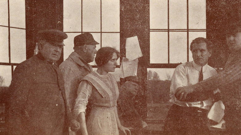 кадр из фильма The False Order