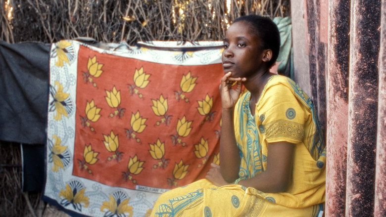 кадр из фильма Echoes of Lamu