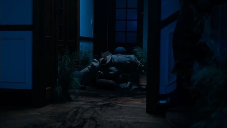 La Mirada de los Mil Metros