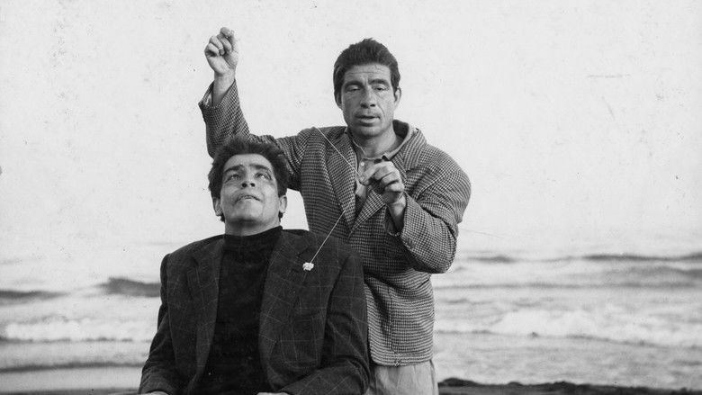 кадр из фильма Чудовища