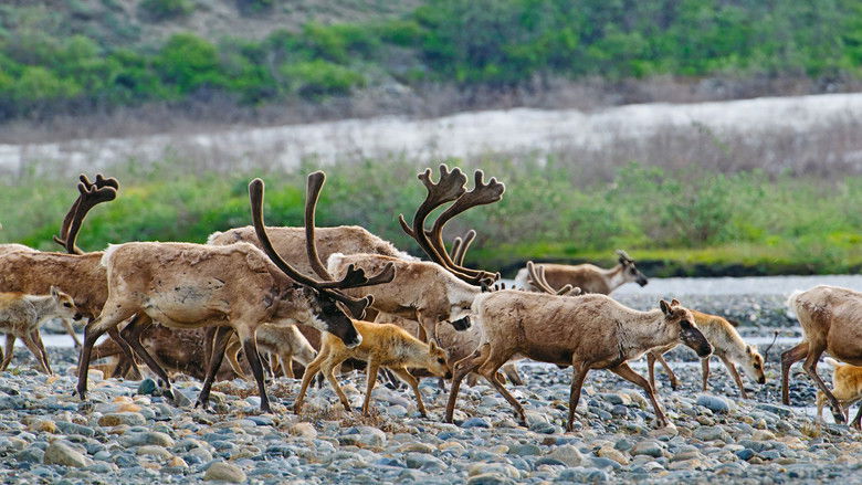 кадр из фильма Public Trust