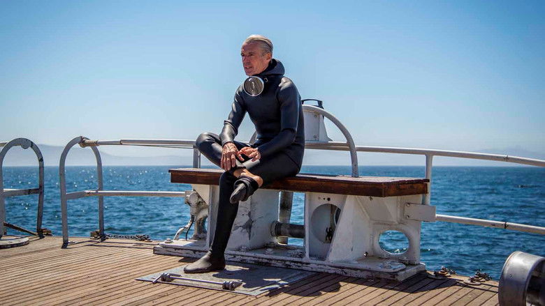 кадр из фильма Одиссея