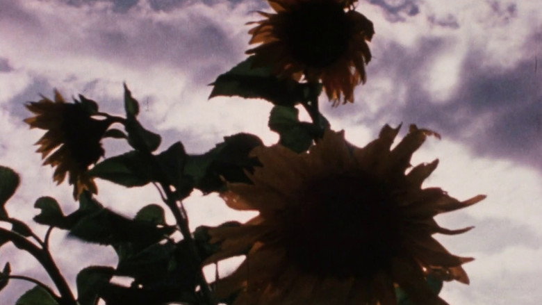 кадр из фильма Cosas de mi vida