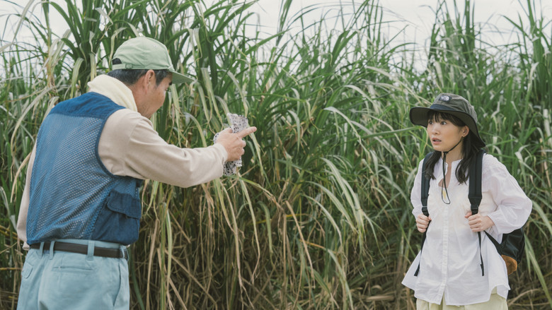 кадр из фильма 風のマジム