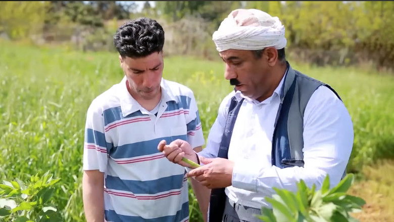 кадр из фильма ريح الغرب