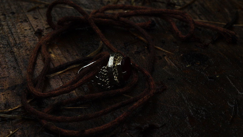 кадр из фильма Assika : Jusqu'au sang