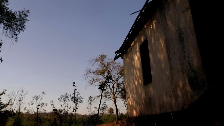 кадр из фильма (re)buscando o cinema em Santa Rosa dos Dourados