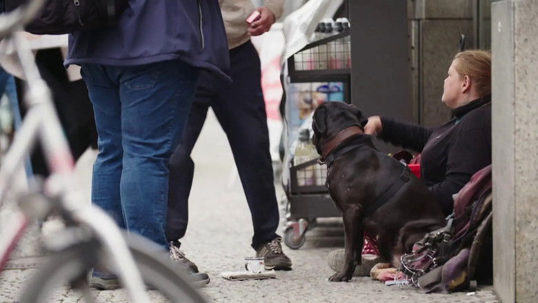 кадр из фильма Das falsche Versprechen vom Aufstieg